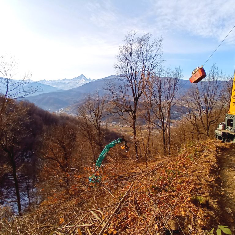Simone Solera lavora con il suo SK75SR-7 nelle foreste delle Alpi Cozie
