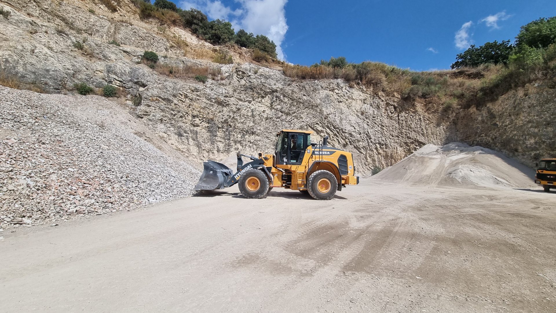 HYUNDAI ha una gamma completa di pale gommate