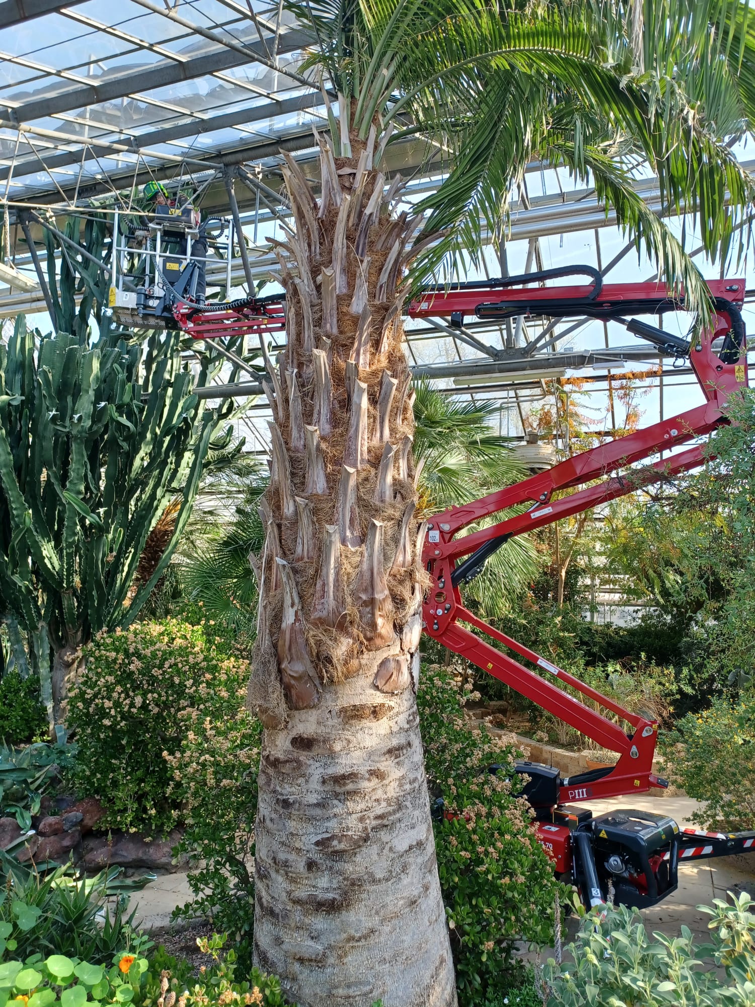 La LightLift 15.70 è stata scelta per le sue caratteristiche