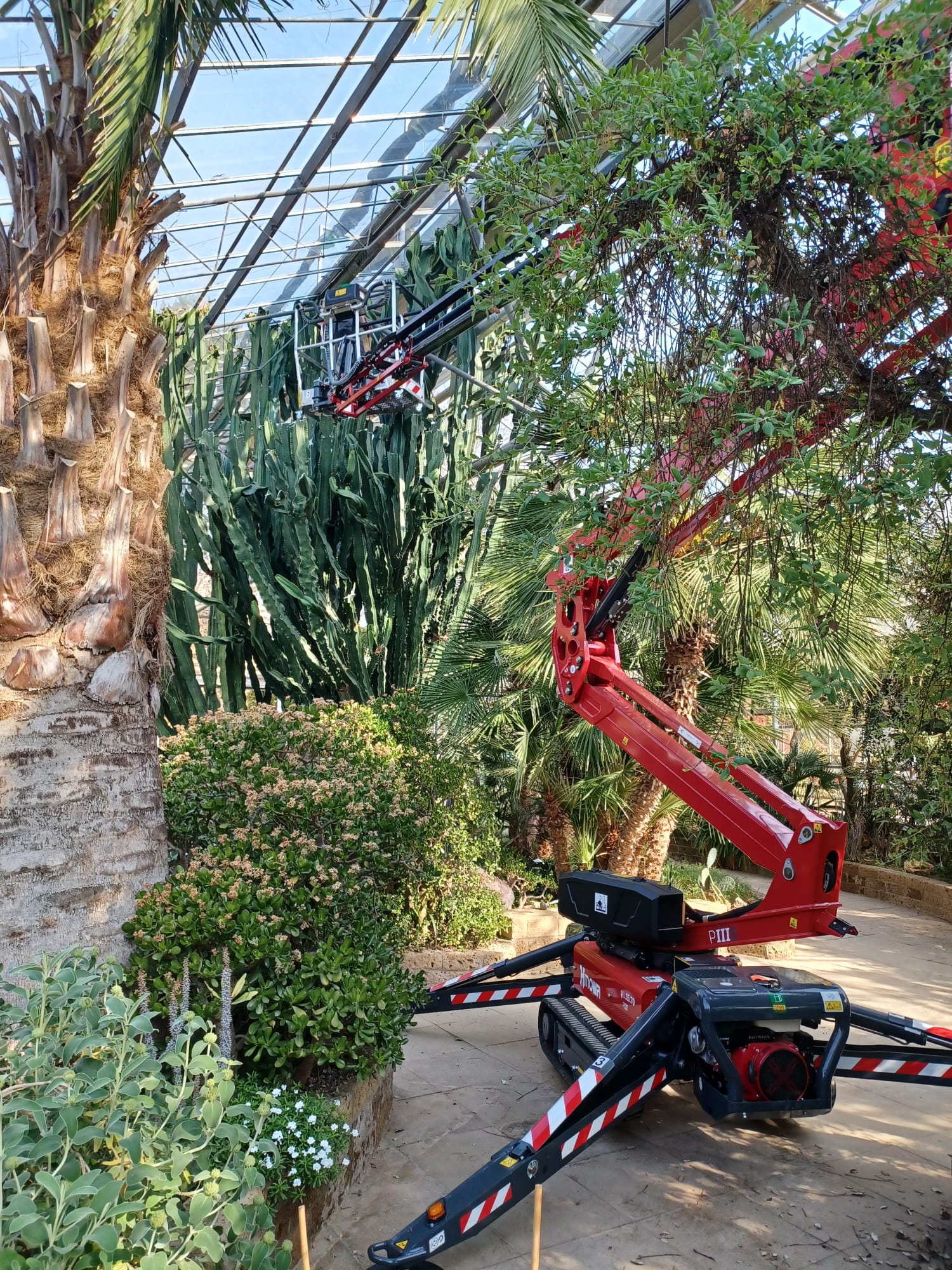 La nuova LightLift 15.70 è stata scelta per le sue caratteristiche ottimali