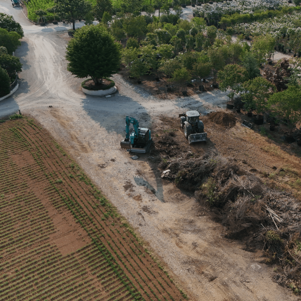 Area di stoccaggio in un vivaio di 8 ettari a Treviso, dove la F.lli Brunato impiega un escavatore e un trattore con trincia FAE per trasformare 1.500 m³ di residui legnosi in cippato destinato al riutilizzo agronomico nei campi.